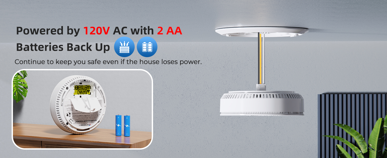 smoke alarm and carbon monoxide detector