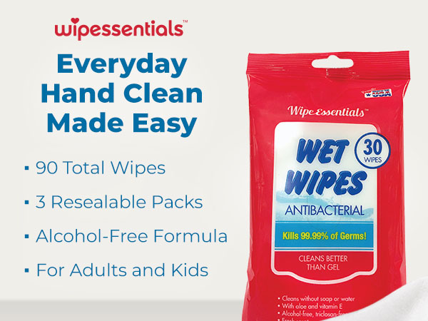 Diamond Wipes WipeEssentials Sanitizing Wipes