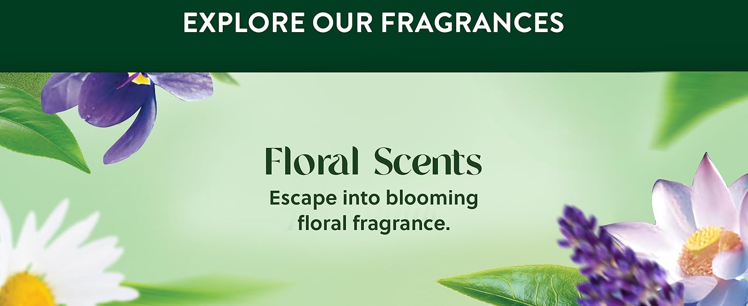 bathroom smell good,bathroom freshener long lasting
