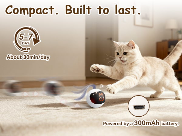 Cat toy ball