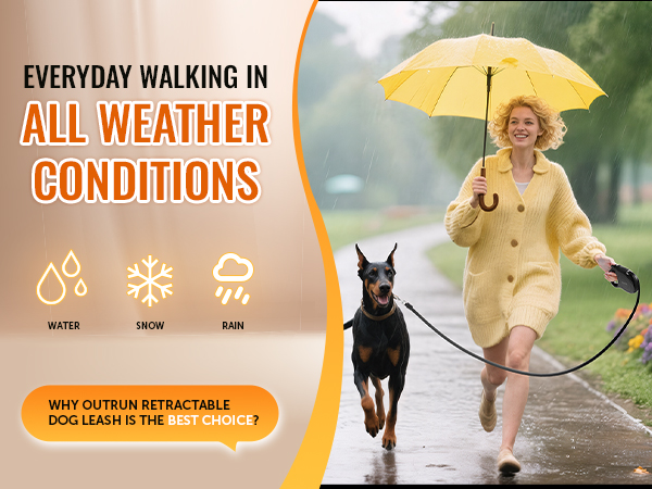 retractable dog lease for small and medium dogs