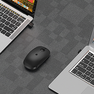 mouse