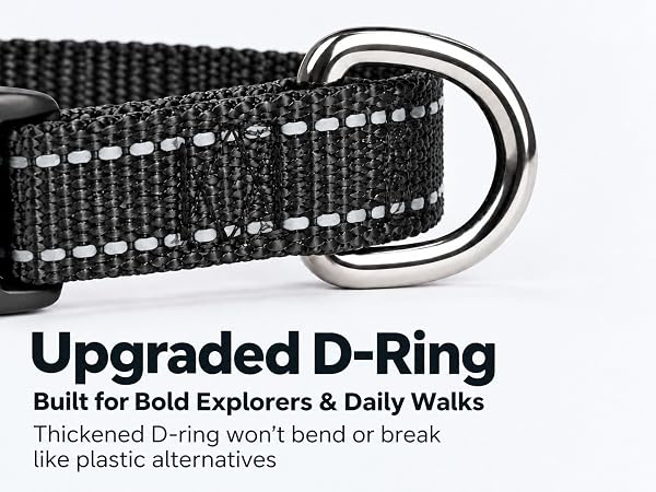 Adjustable Nylon for Medium Dogs, Quick Release, Tear-Resistant Webbing, Metal D-Ring, Night Safety