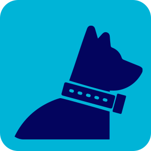 Dog shock collar