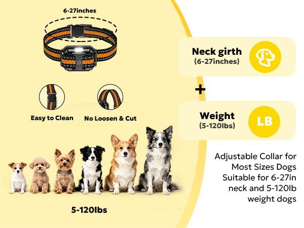 Heaflex shock collar for dog