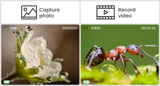 Microscope Camera