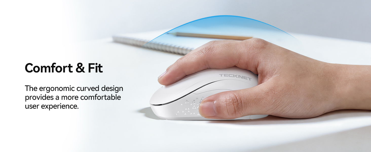 mouse