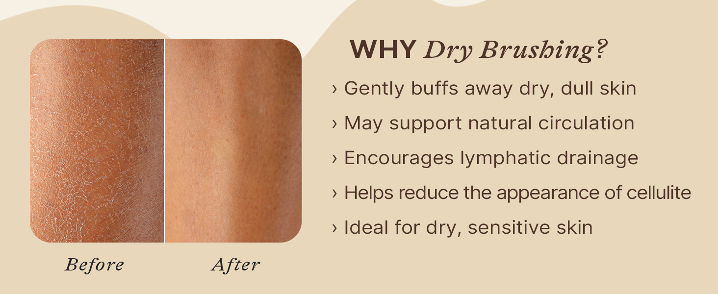 dry brushing body brush lymphatic drainage showering skin bath scrub shower natural cellulite