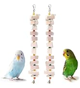 Acsist 2 Pack Bird Toys, Parakeet Toys with Cuttlebone, Natural Cuttle Bone Bird Beak Grinding St...