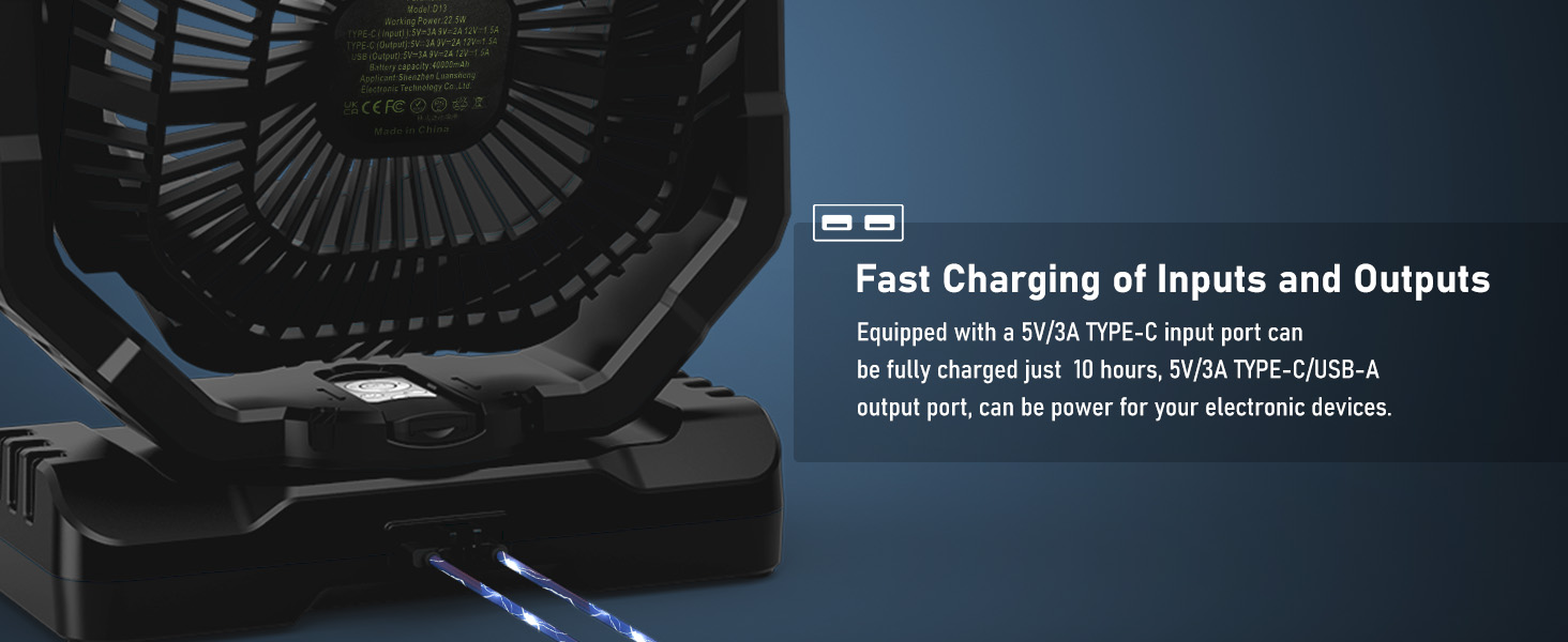 Fast Charging