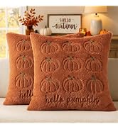 MIULEE Fall Pillow Covers Pumpkin 18x18 Set of 2 Dark Rust Green Stem | Autumn Fall Decor Decorat...