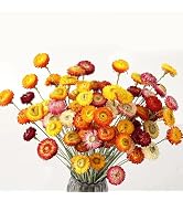 24 Pcs Natural Dried Straw Flowers Daisy, Orange Dried Flowers Arrangements for Vase, Home Office...