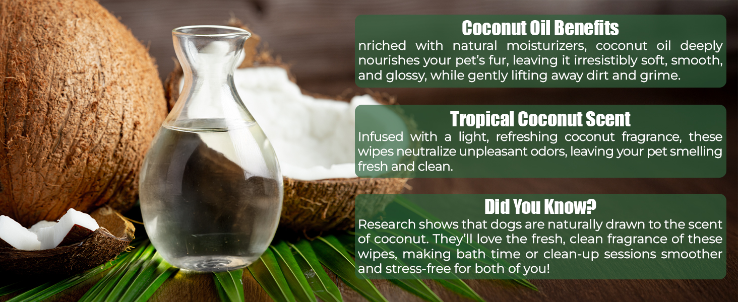 puppy essentials
