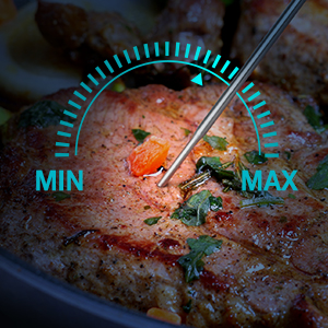11040 Cooking Grilling Meat Thermometer Temperature Restaurant Food