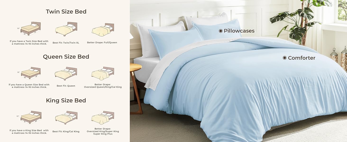 Solid Light Blue