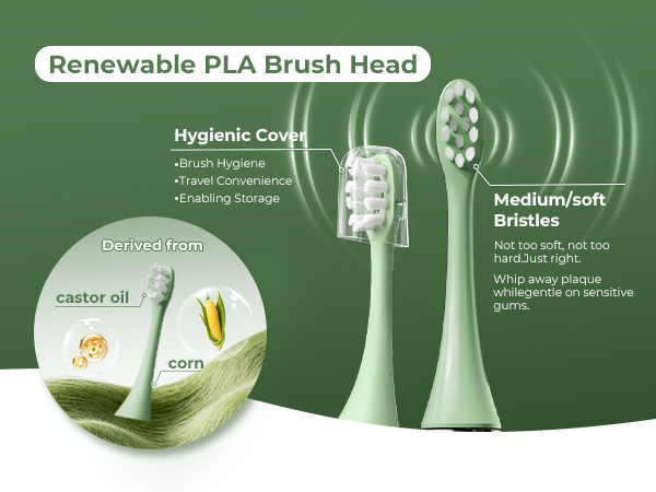 toothbrush replacement heads