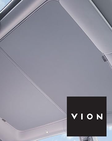 VION