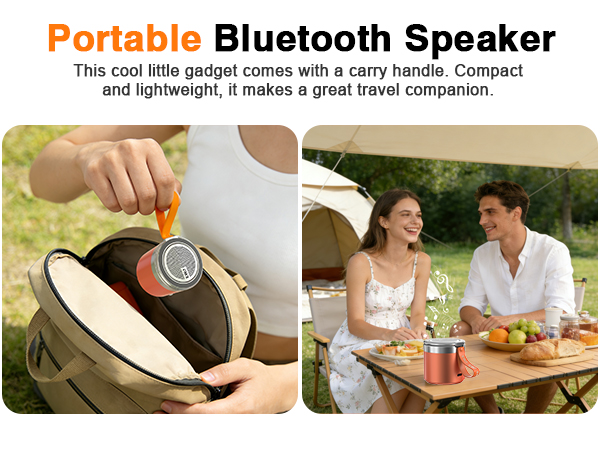 Portable Bluetooth Speaker