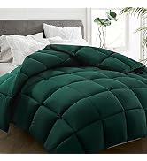 HYLEORY All Season Queen Size Bed Comforter - Cooling Goose Down Alternative Quilted Duvet Insert...