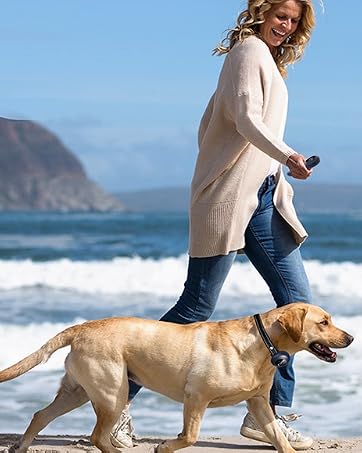 dog bark training collar