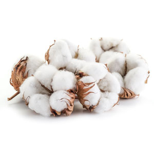 cotton swabs for ears travel pack