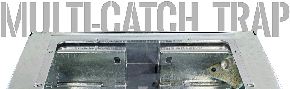 Multi-Catch Clear Top Humane Repeater Mouse Trap