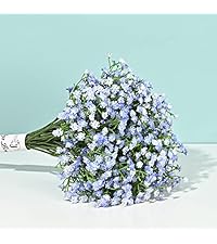 https://m.media-amazon.com/images/I/51CL-PPM4jL.__AC_SR200,225___.jpg