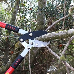Lopper blade