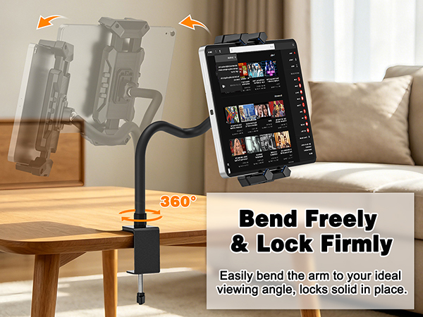 ipad mount