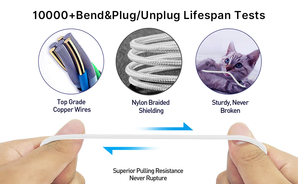 USB C to Lightning Cable