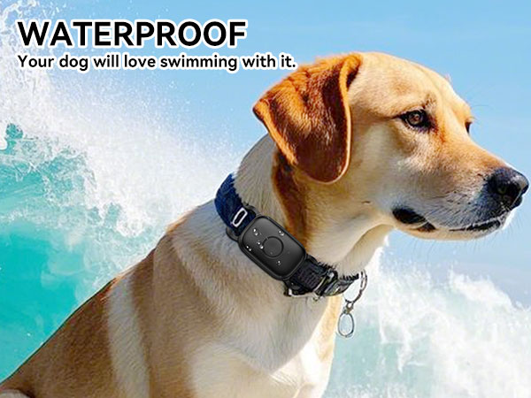 WATERPROOF Your dog will love swimming with it