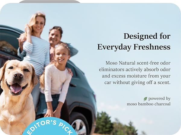 Unscented activated charcoal car odor eliminator absorbs smoke pet food smells no fragrance