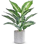 WUKOKU 16" Small Fake Plants Artificial Potted Faux Plants Desk Plant for Home Office Farmhouse K...