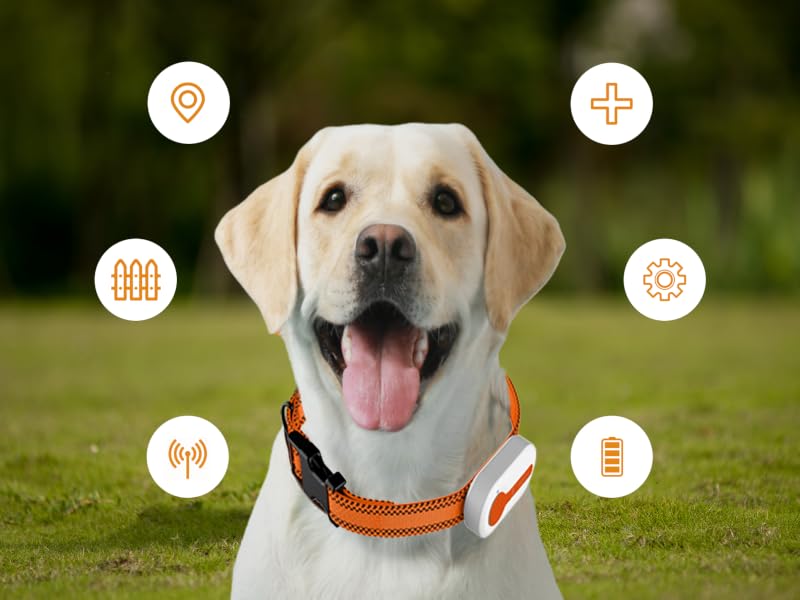 ROTX pet tracker