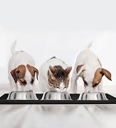 dogbuddy dog food mat