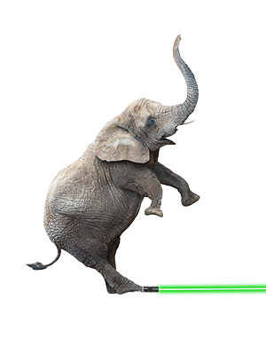 Green Laser Pointer