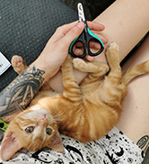 dog nail clipper cat nail clipper kitten supplies dog nail clippers for large dogs
