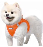 rabbitgoo Small Dog Harness, Step-in Soft Mesh Puppy Vest, Easy Walk with Safety Buckle, Breathab...