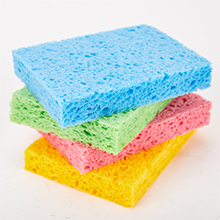 Colorful sponges
