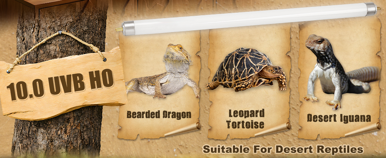 10.0 t5 reptile lamp