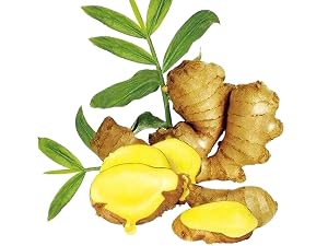 ginger