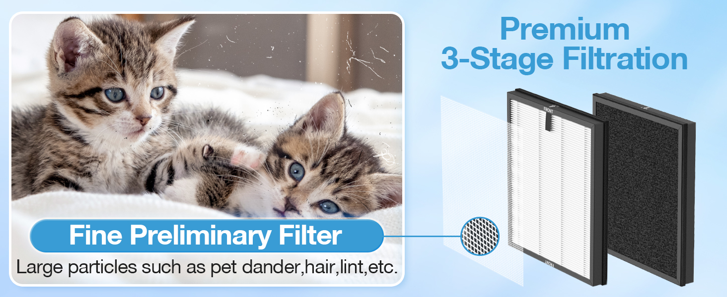 Air Purifier Replacement Filter for ECOSELF HAP603 Air Purifier