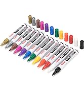 ZEYAR Paint Markers by for Rock Painting, Medium Point, 12 Beautiful classic Colors, Oil-Based Pa...