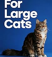 cat tree for large cats
