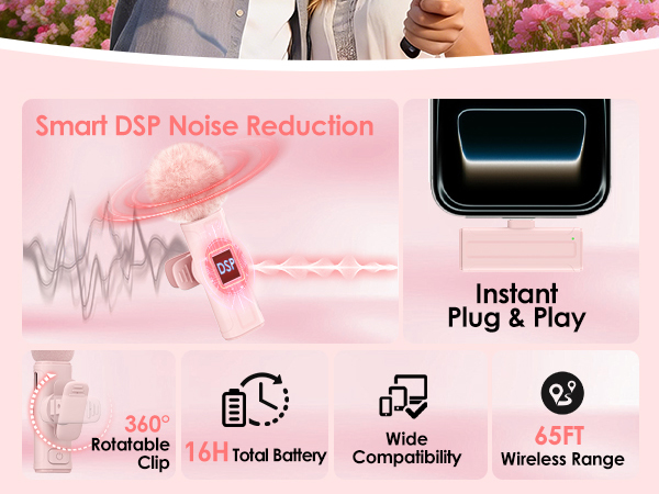 mini microphone