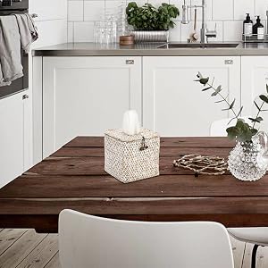 Decorative Tissue Holder for Kitchen
