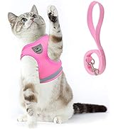 Supet Cat Harness and Leash Set for Walking Cat and Small Dog Harness Soft Mesh Puppy Harness Adj...