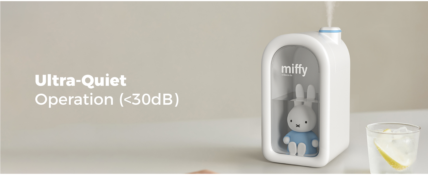 MIFFY Cool Mist Humidifier
