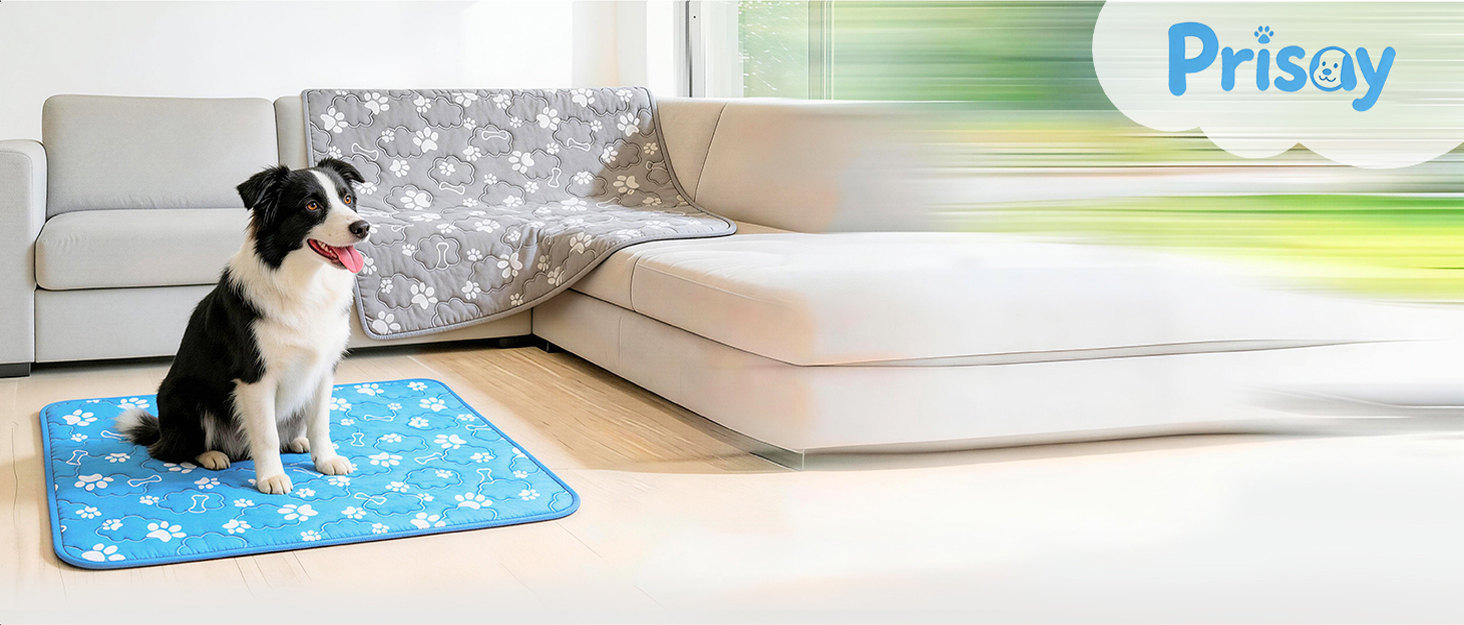 dog cooling mat