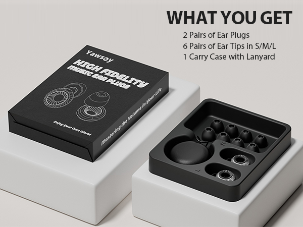 ear plugs for concerts